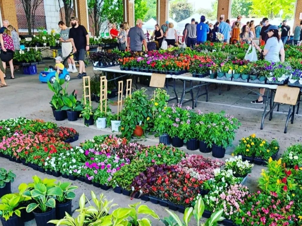Plymouth Farmers Market
